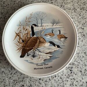 Canada Geese Decorative Saucer 7.5” X 7.5”